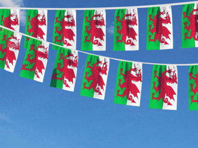 Welsh Labour Leadership Election 2024 Feature